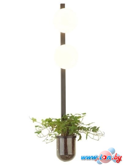 Бра Odeon Light Flower 4681/2WA в Гродно