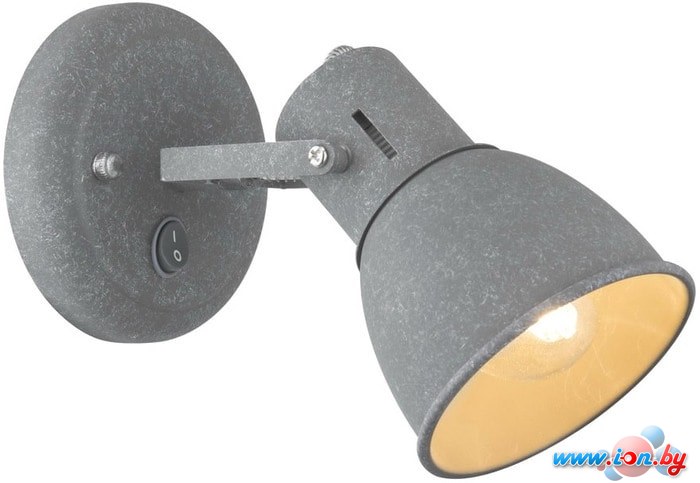 Спот Arte Lamp Jovi Grigio A1677AP-1GY в Гомеле