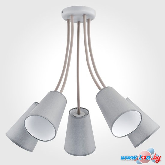 Точечный светильник TK Lighting 2101 Wire Gray в Бресте