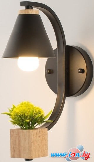 Бра Home Light Астерия B149-1-B (Черный) в Гомеле