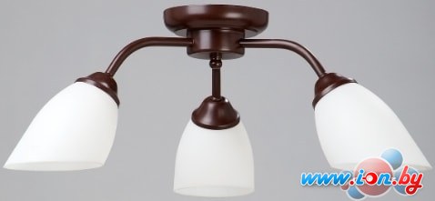 Припотолочная люстра Vitaluce V3252/3PL в Могилёве