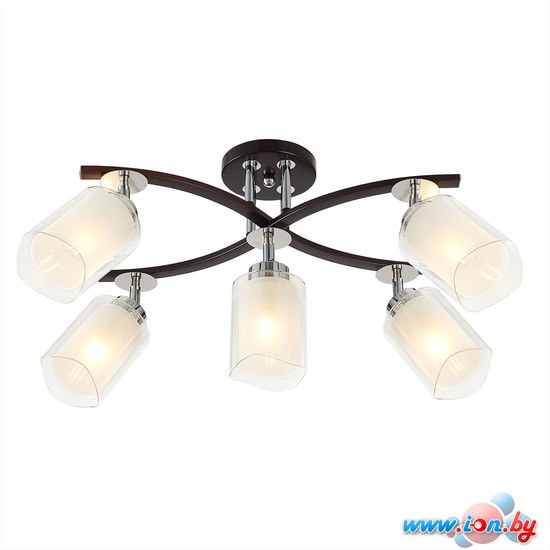 Спот Citilux Фортуна CL156152 в Могилёве