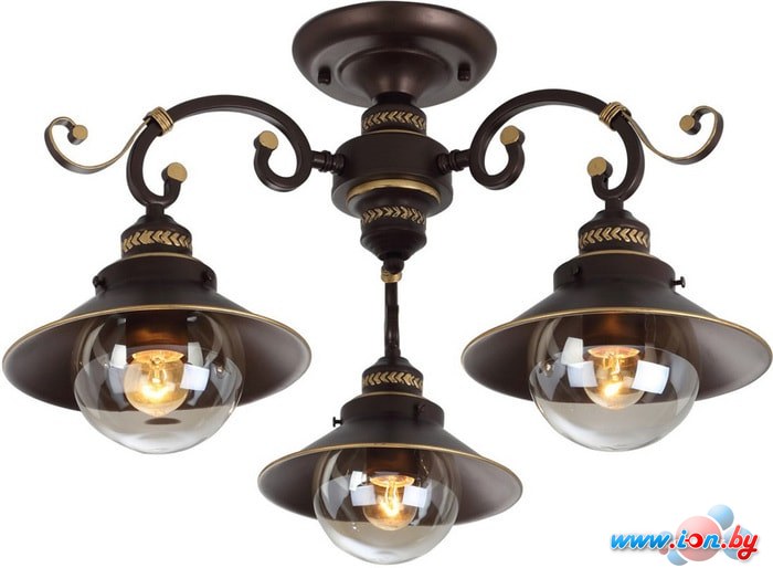 Люстра средней высоты Arte Lamp Graziozo A4577PL-3CK в Могилёве