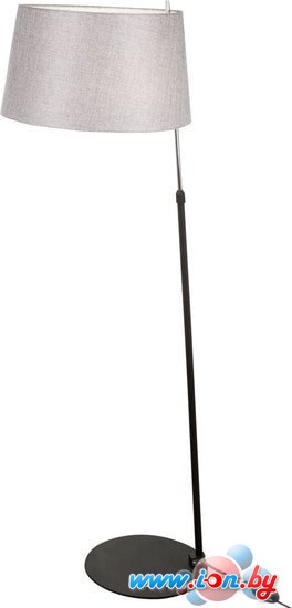 Торшер Maytoni Bergamo MOD613FL-01B в Могилёве