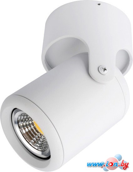 Спот Arte Lamp Libra A3316PL-1WH в Бресте