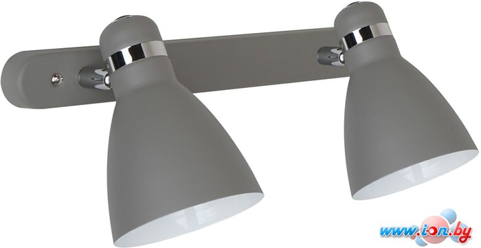 Бра Arte Lamp Mercoled A5049AP-2GY в Могилёве