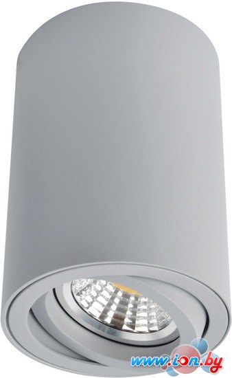 Точечный светильник Arte Lamp Sentry A1560PL-1GY в Могилёве