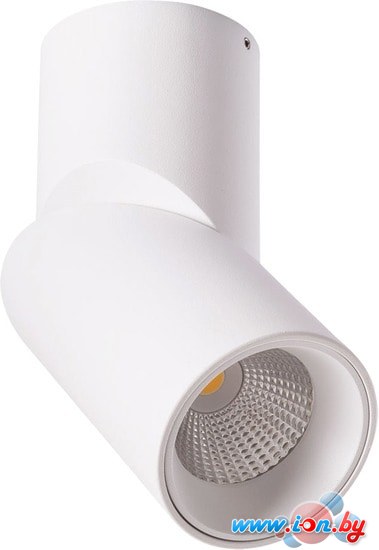 Спот Arte Lamp Orione A7717PL-1WH в Могилёве
