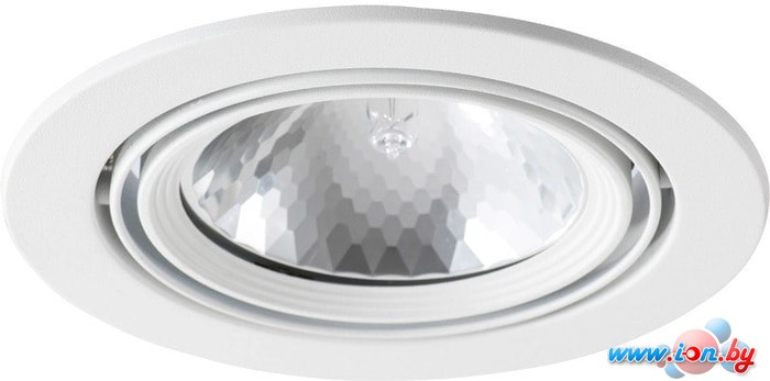 Спот Arte Lamp Apus A6664PL-1WH в Гомеле