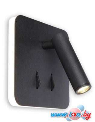 Спот Citilux Декарт CL704421 в Могилёве