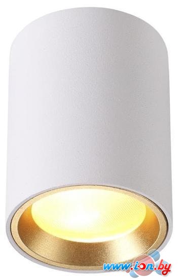 Уличный фонарь Odeon Light Aquana 4206/1C в Гомеле