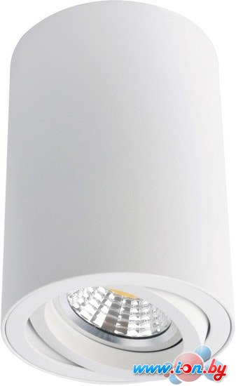 Точечный светильник Arte Lamp Sentry A1560PL-1WH в Минске