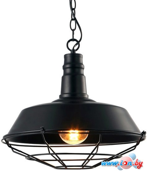 Лампа Arte Lamp Pandora Black A9183SP-1BK в Могилёве