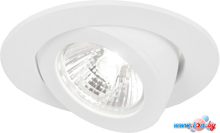 Точечный светильник Arte Lamp Accento A4009PL-1WH в Гродно