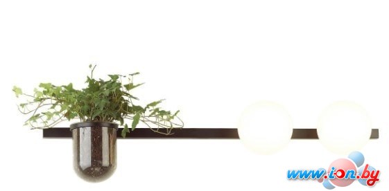 Бра Odeon Light Flower 4681/2W в Могилёве