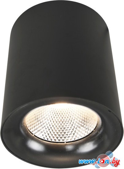 Точечный светильник Arte Lamp Facile A5118PL-1BK в Могилёве