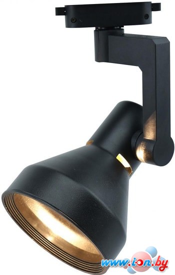 Точечный светильник Arte Lamp Nido A5108PL-1BK в Гомеле