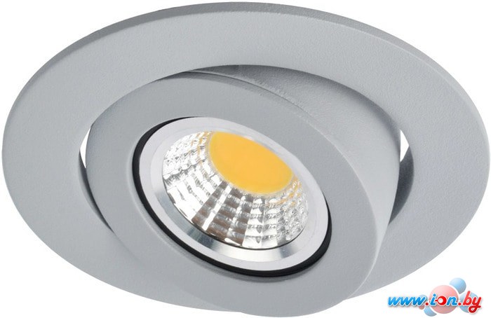 Точечный светильник Arte Lamp Accento A4009PL-1GY в Могилёве