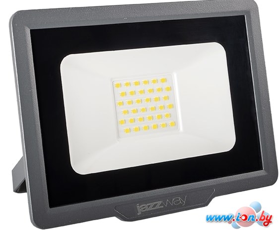 Прожектор JAZZway PFL-C3 10w 6500K IP65 в Могилёве