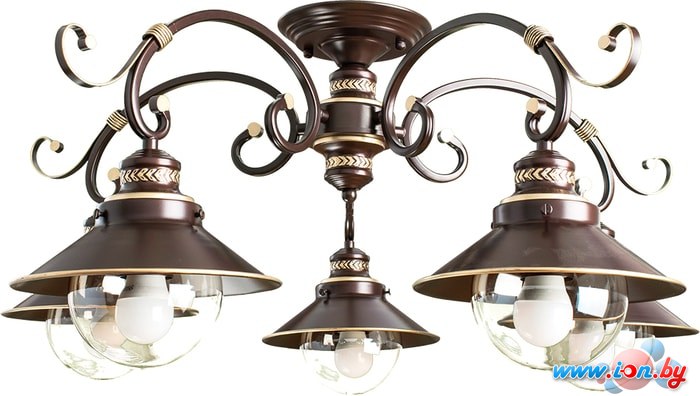 Припотолочная люстра Arte Lamp Grazioso A4577PL-5CK в Могилёве