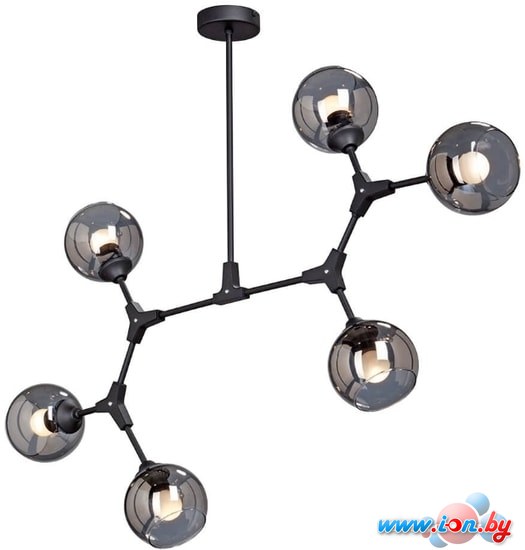 Подвесная люстра Vitaluce V4823-1/6PL в Могилёве