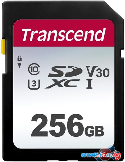 Карта памяти Transcend SDHC 300S 256GB в Могилёве