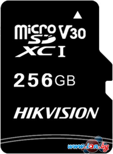 Карта памяти Hikvision microSDXC HS-TF-C1/256G 256GB в Могилёве