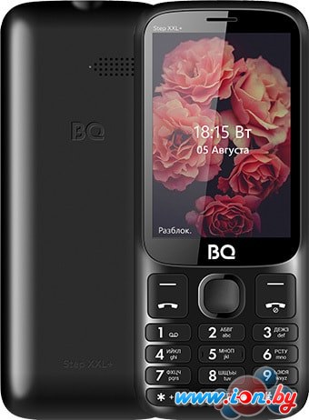 Мобильный телефон BQ-Mobile BQ-3590 Step XXL+ (черный) в Гомеле