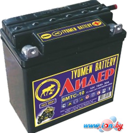Мотоциклетный аккумулятор Tyumen Battery Лидер 3МТС-10 (10 А·ч) в Гомеле