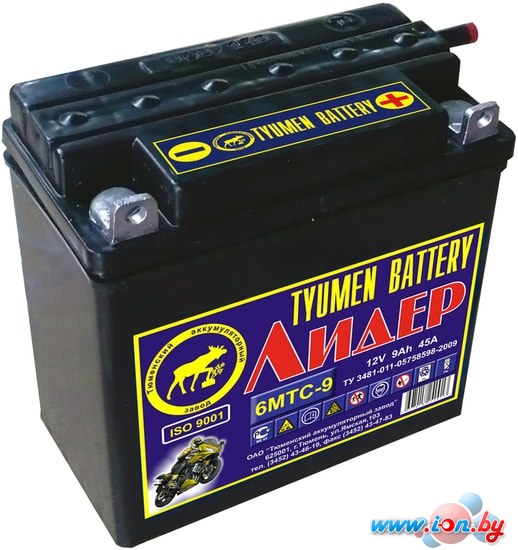 Мотоциклетный аккумулятор Tyumen Battery Лидер 6МТС-9 (9 А·ч) в Гомеле