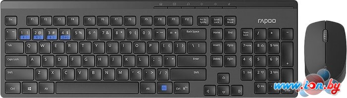 Клавиатура + мышь Rapoo 8100M (черный) в Бресте
