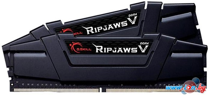 Оперативная память G.Skill Ripjaws V 2x32GB DDR4 PC4-28800 F4-3600C18D-64GVK в Гродно