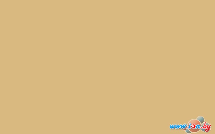 Краска Montana Black BLK8020 264122 (0.4 л, beige) в Гомеле