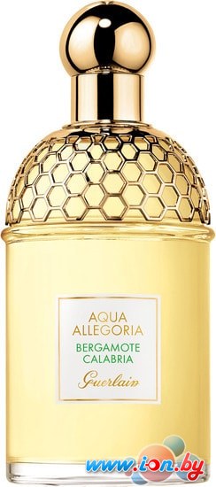 Guerlain Aqua Allegoria Bergamote Calabria EdT (75 мл) в Могилёве