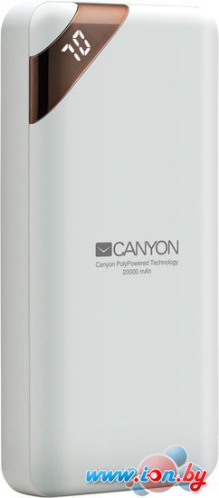 Портативное зарядное устройство Canyon CNE-CPBP20W в Бресте