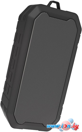 Беспроводная колонка Ritmix SP-350B (черный) в Могилёве