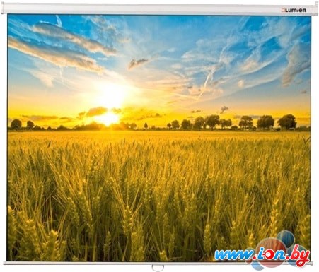 Проекционный экран Lumien Eco Picture 206x274 LEP-100115 в Гомеле