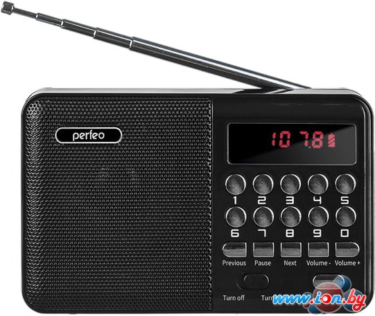 Радиоприемник Perfeo Palm i90 PF-A4870 в Гомеле