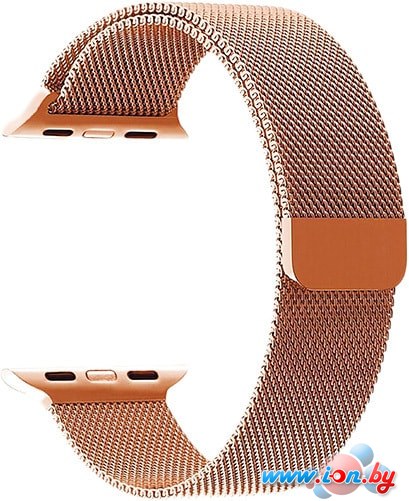 Браслет Miru SG-01 для Apple Watch (розовое золото) в Могилёве