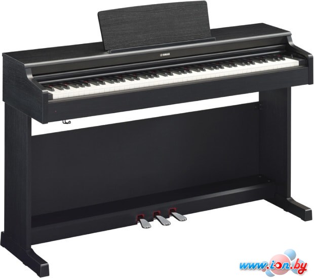 Цифровое пианино Yamaha Arius YDP-164 (черный) в Гродно