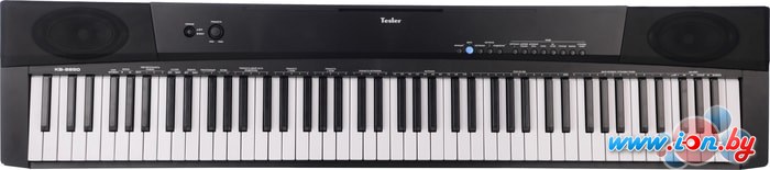 Цифровое пианино Tesler KB-8850 в Бресте