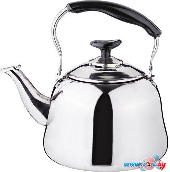 Чайник со свистком Agness 909-602 в Могилёве