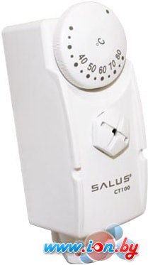 Терморегулятор Salus Controls AT10 в Бресте