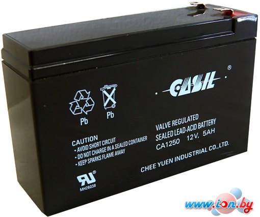 Аккумулятор для ИБП Casil CA1250 (5 А·ч) в Могилёве