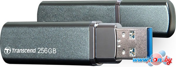 USB Flash Transcend JetFlash 910 256GB в Могилёве