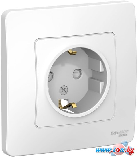 Розетка Schneider Electric BLNRS001111 в Могилёве
