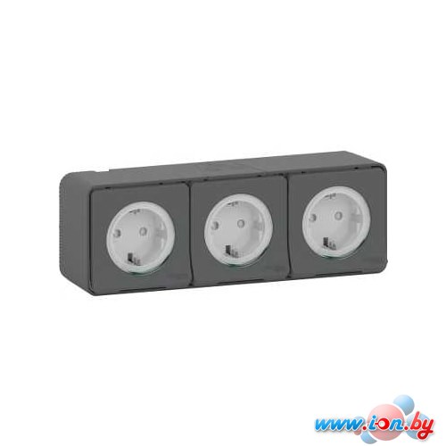 Розетка Schneider Electric MUR36038 в Могилёве