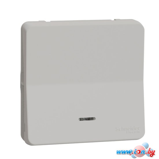 Выключатель Schneider Electric Mureva Styl MUR39127 в Бресте