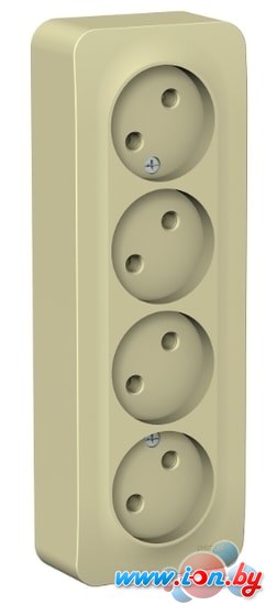 Розетка Schneider Electric Blanca BLNRA000417 в Минске