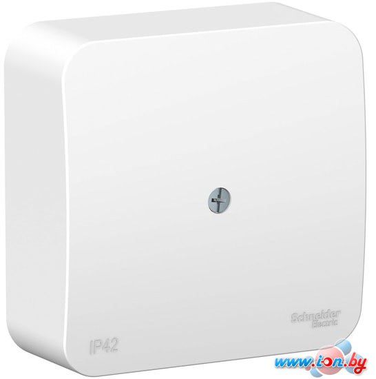 Накладная коробка Schneider Electric BLNRK000011 в Могилёве